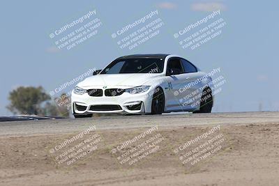 media/Oct-04-2025-OnGrid (Sat) [[44bd565ffa]]/Green Group/Grapevine/